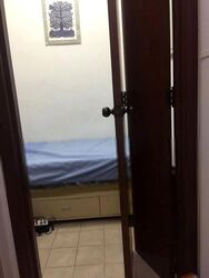 The Tropica (D18), Condominium #607507851